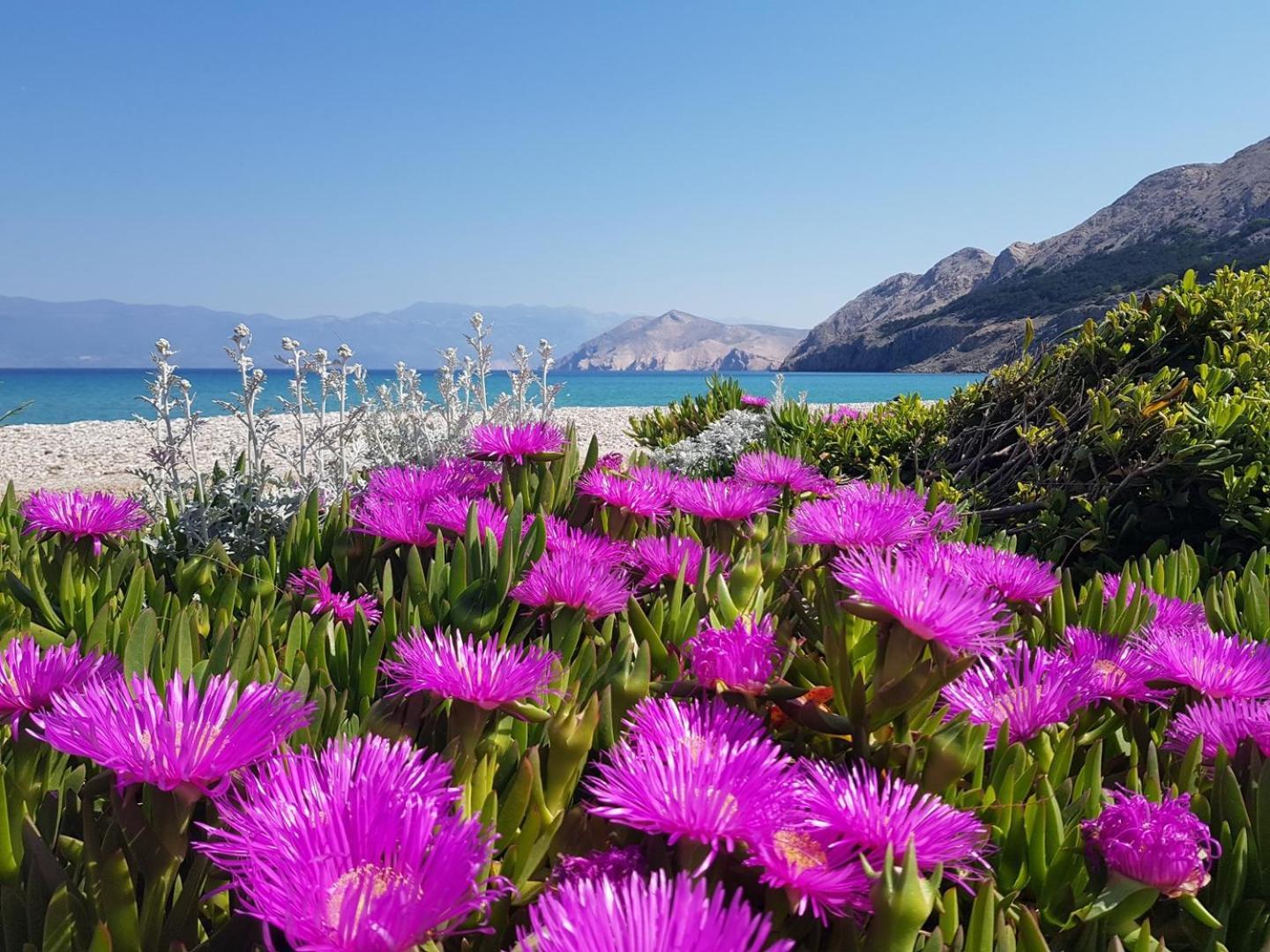 Apartment Krleza Baška Εξωτερικό φωτογραφία